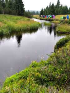 LIŠČATA - Jizerky 2025