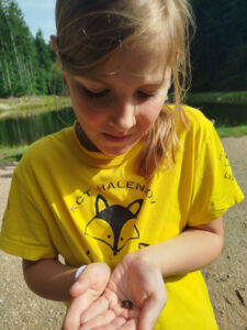 LIŠČATA - Jizerky 2025