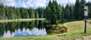 LIŠČATA - Jizerky 2025